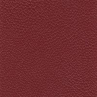 Allsport Aztec Red