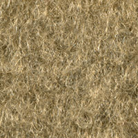 Sunburst Carpet Beige