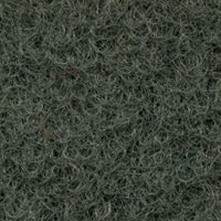 Sunburst Carpet Coal