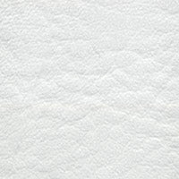 Tradewinds Arctic Frost