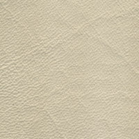 Tradewinds Coastal Sand