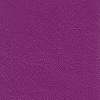 Windsong Asian Plum