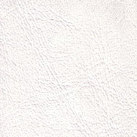 Windsong Polar Breeze