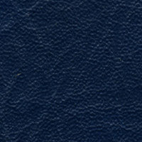 Tradewinds Midnight Surf