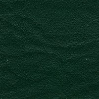 Tradewinds Sea Frost