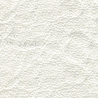 Tradewinds Pearl