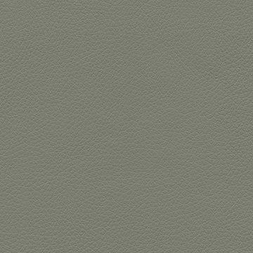 Ultrafabrics Pumice Dusty Olive