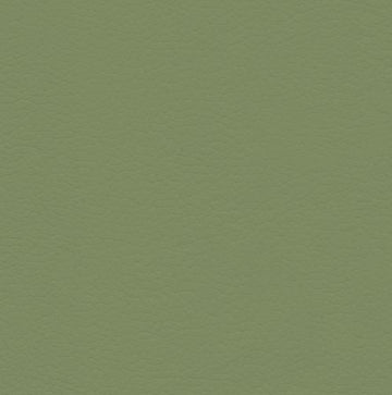 Ultrafabrics Coast Stem Green