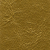 Jetstream Gold Rush