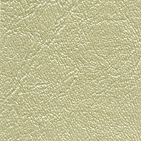 Jetstream Summer Lightning (silver)
