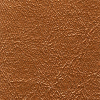 Jetstream Copper Penny