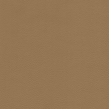 Protege LT Sand