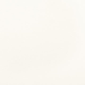 Top Gun Arctic White