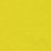 Zander Yellow